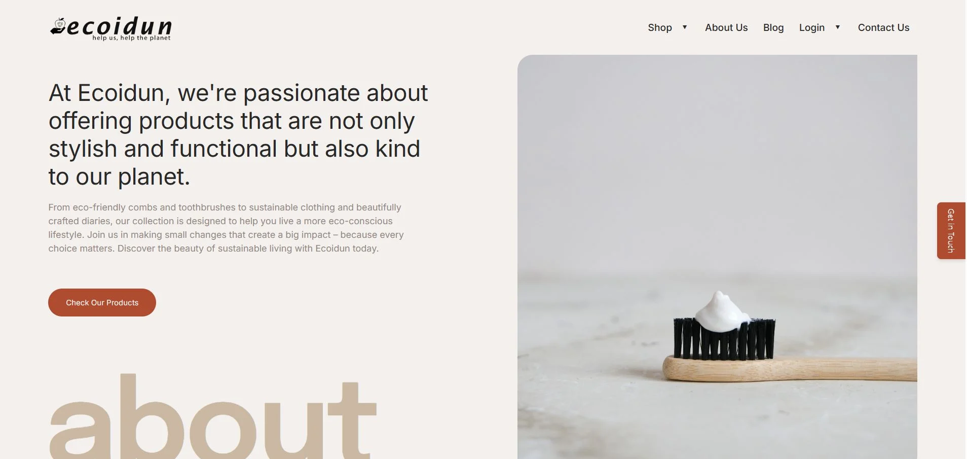 Ecoidum website homepage
